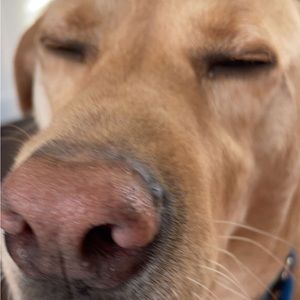 Meet your Posher, Chloe